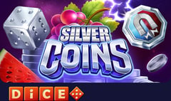 BF Games - Silver Coins Dice